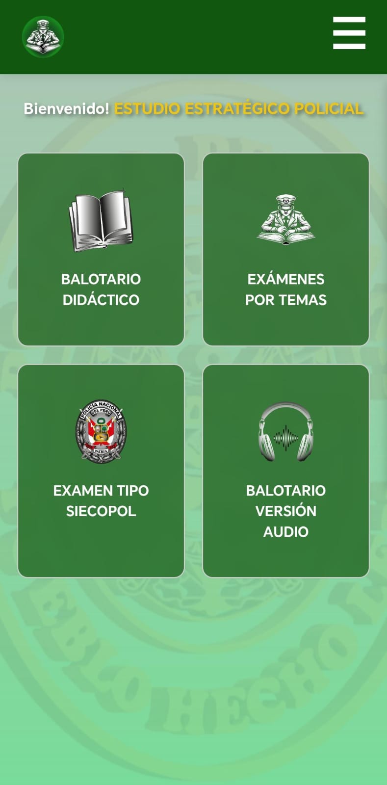Imagen producto 2
